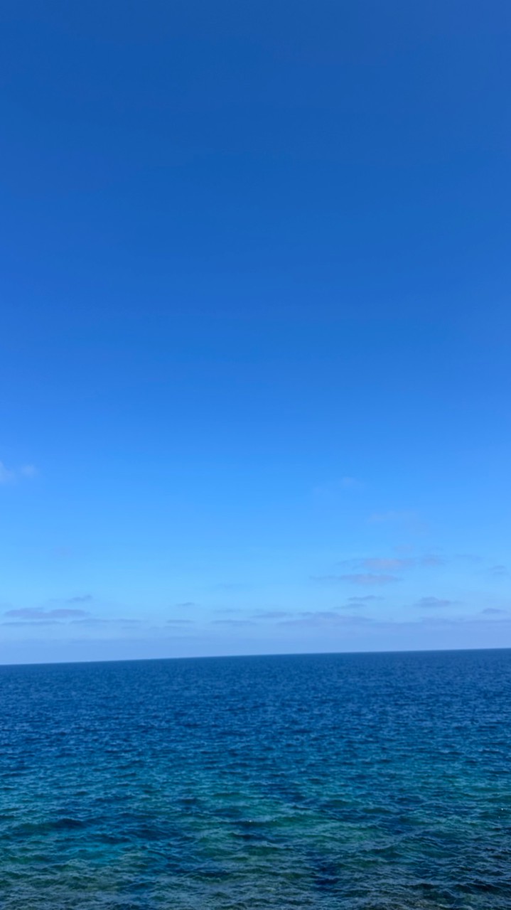 飛飛及時報