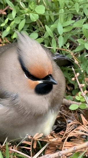 還暦からの和みのお部屋