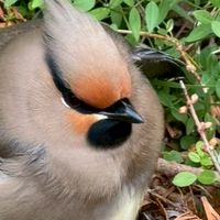 還暦からの和みのお部屋