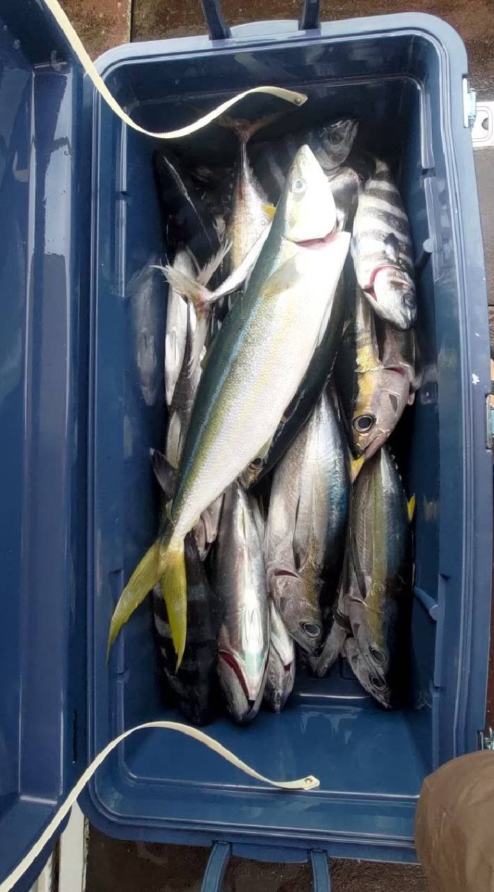 船釣鮮魚攤