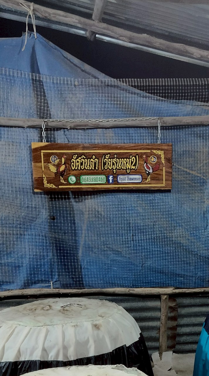 อัศวินดำ88🥷🎰