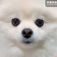 Ning,s捏捏捏