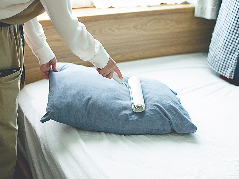 布団は干さない 家事プロが教えるラクでキレイな寝具ケアでカビも正しく対策