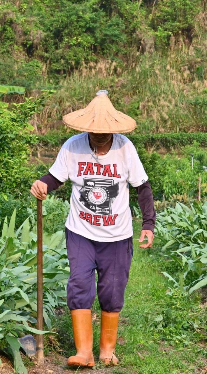 0427-農村微旅行：爬山澀水來找茶