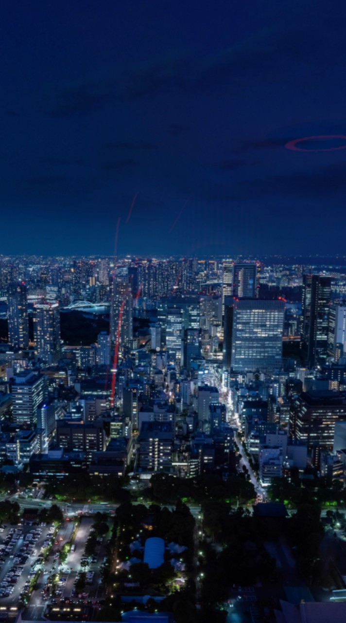 日本史、世界史、経済学、地政学、政治について
