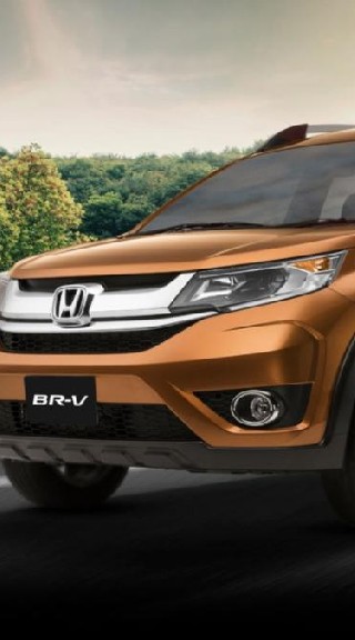 BRV Society