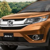 BRV Society