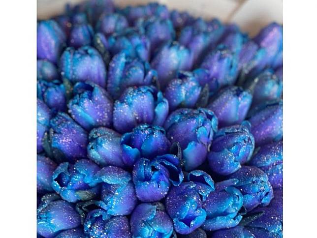 เปิดความหมาย ช่อดอกทิวลิปสีน้ำเงินที่ เมย์ นำมาเซอร์ไพรส์เเฟนในวันเกิด |  Teenee.Com | Line Today