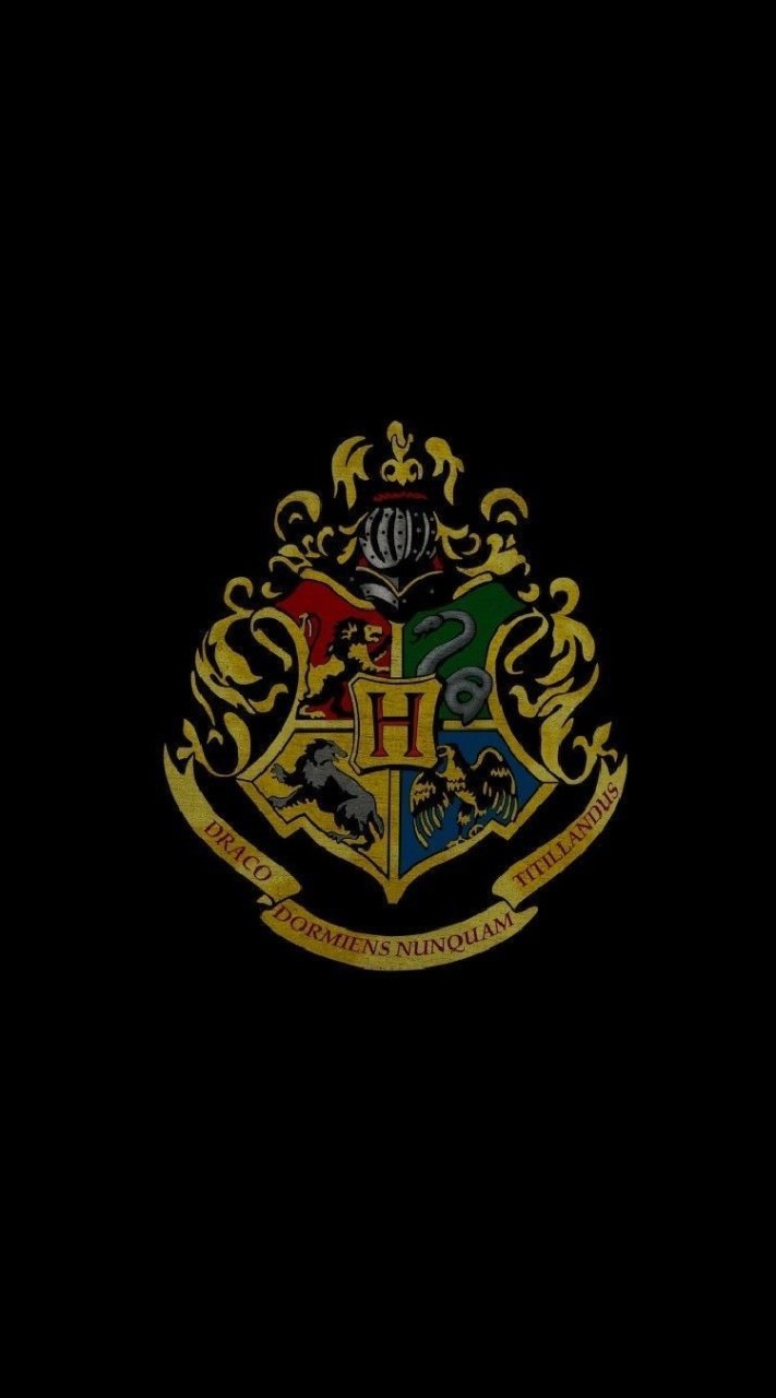 Hogwarts School