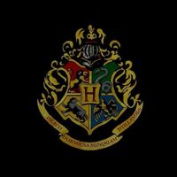 Hogwarts School