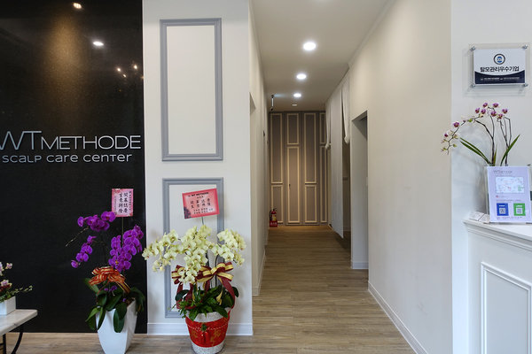 台北頭皮護理，台北頭皮養護spa-WT Methode美絲得，源自韓國的台北專業頭皮養護，給頭皮極致享受的大直頭皮護理中心