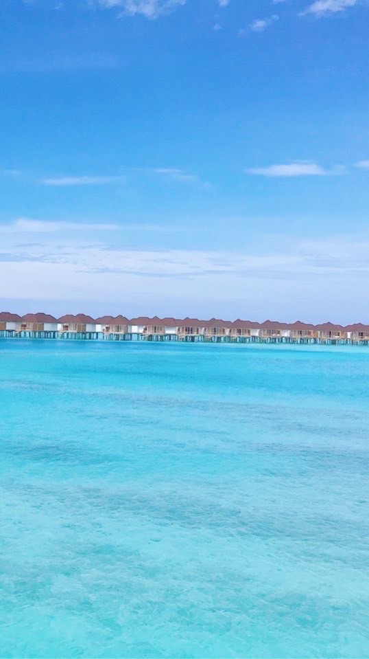 CBH International Community