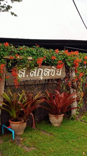 ส.สกุลชัย โคราช