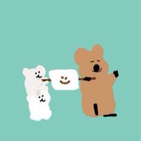 Quokka矮袋鼠