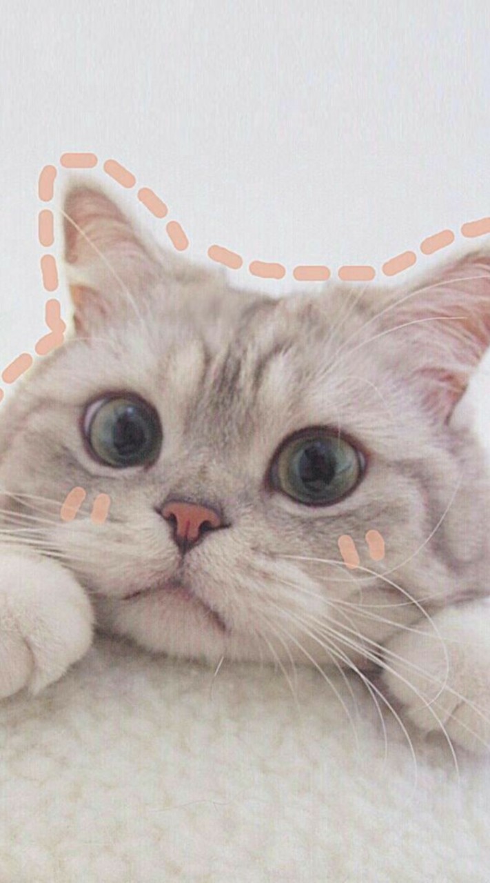 แชทปลอม