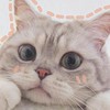 แชทปลอม