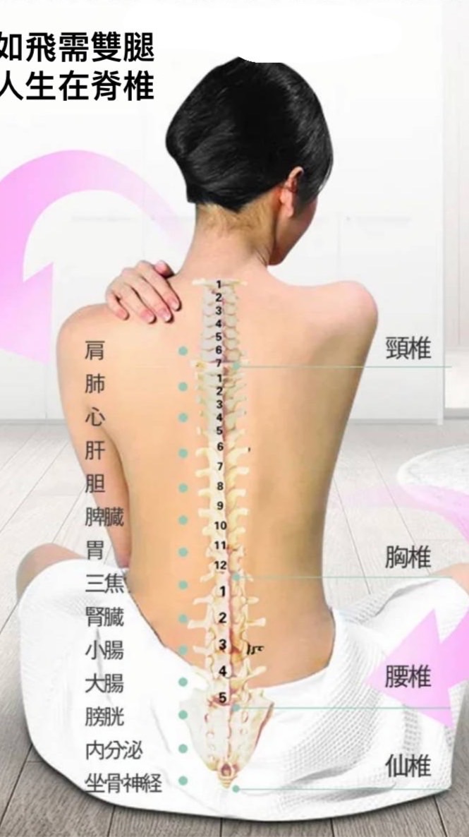 1.👍台灣日健R足跟骨神經醫學根本治本