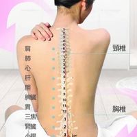1.👍台灣日健R足跟骨神經醫學根本治本