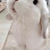 54號家吃什麼