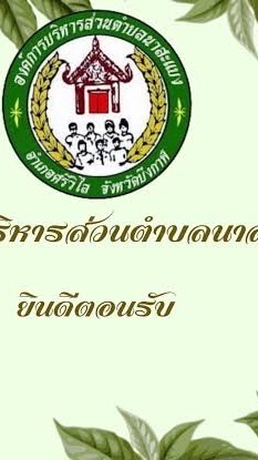 งานจัดเก็บรายได้ องค์การบริหารส่วนตำบลนาสะแบง