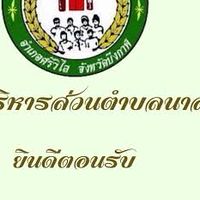 งานจัดเก็บรายได้ องค์การบริหารส่วนตำบลนาสะแบง