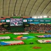 仮想世界のプロ野球の監督となり球団運営