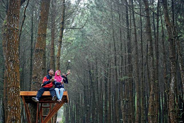 7 Wisata Hutan Pinus Yang Cocok Untuk Prewedding Keepo Me Line Today