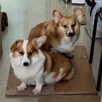 建呈科技