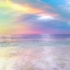 聊天/交朋友/遊戲/寫作業/處關係/群通/上廁所（？