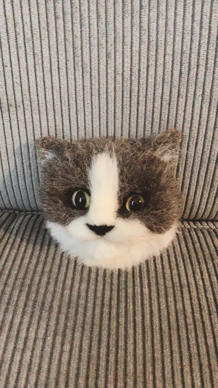 ふわちく羊毛フェルト