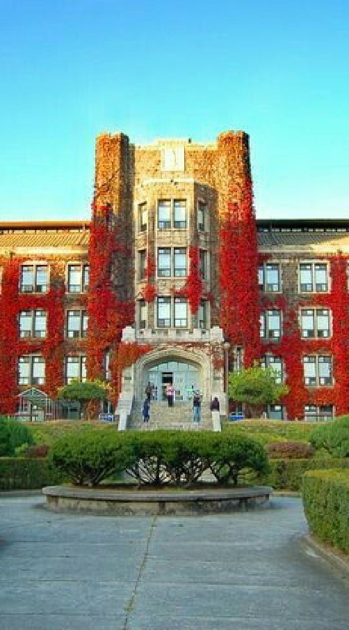 โรงเรียนอนิเมะวิทยา🏫💗