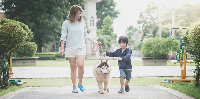 Bantu Tumbuhkan Karakter Positif 7 Hewan Ini Cocok Jadi Peliharaan Si Kecil Theasianparent Line Today