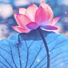 生活の中での修行と悟り（仏教）