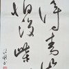 路邊攤鳥園