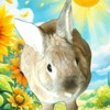 うさぎ💕🐰ランドLove💕猫💕モモンガ💕フェレット