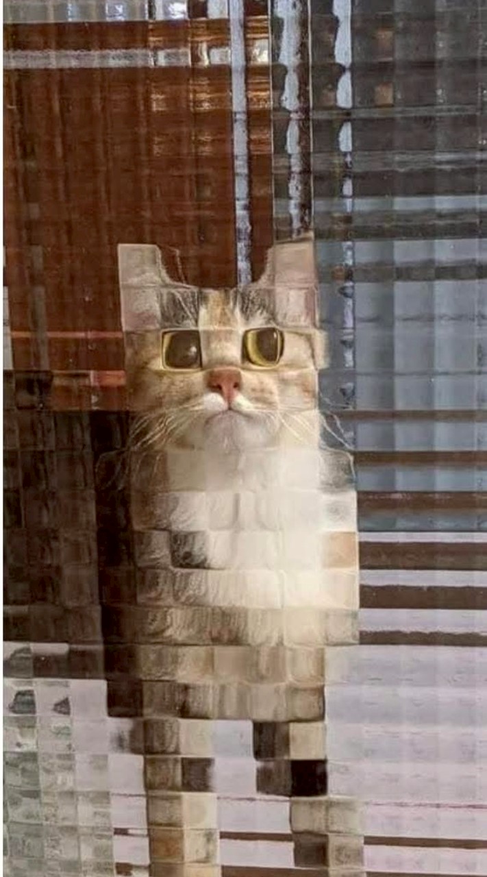 不正常彪虎研究中心