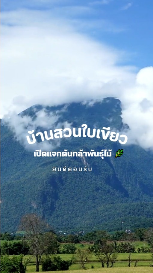 Baan Suan Mai Khiao