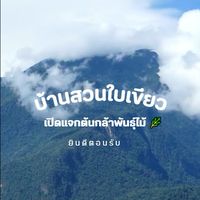 Baan Suan Mai Khiao