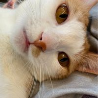 🐶寵物集散地🐱。毛孩們的出沒之處