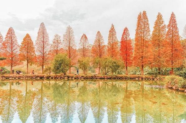 圖片來源：IG @tw.yyju