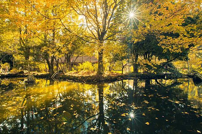 武陵農場 / 圖片來源：欣傳媒資料庫