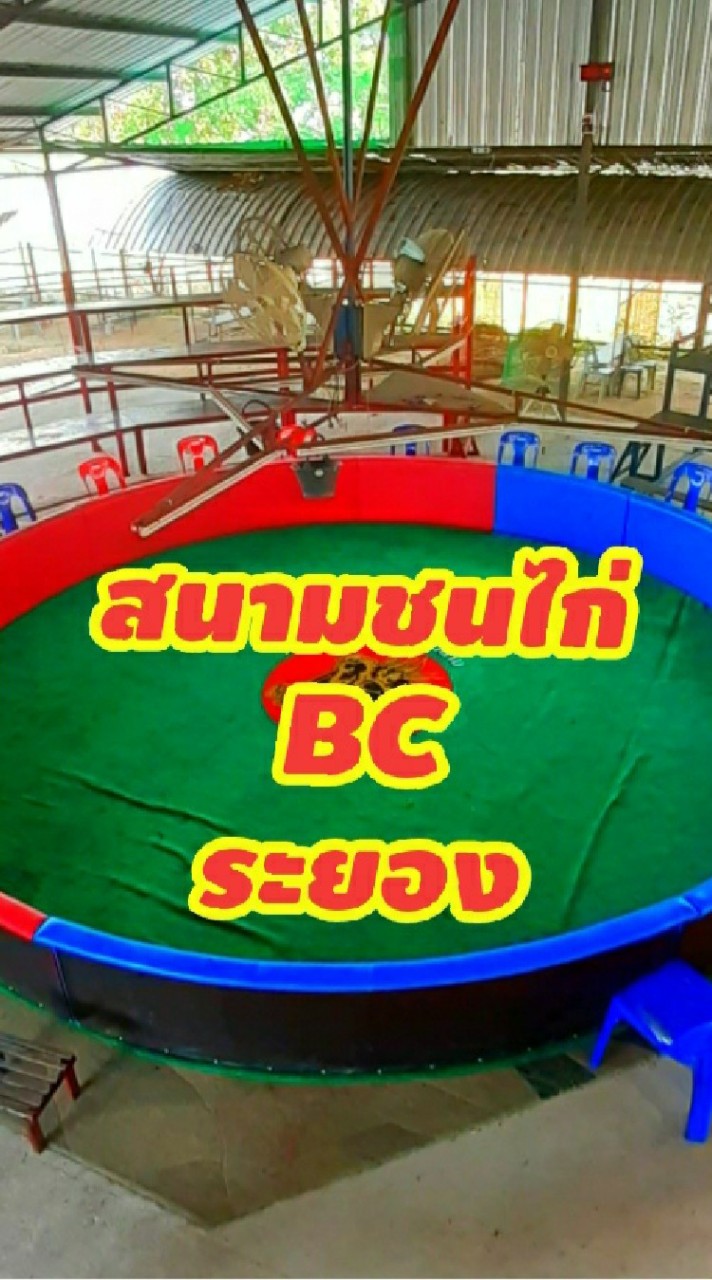 สนามชนไก่บ้านฉาง