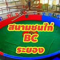 สนามชนไก่บ้านฉาง