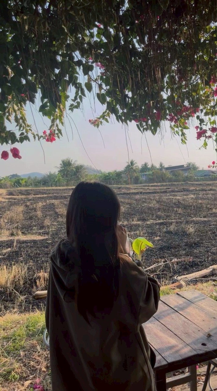 คอนเสิร์ต