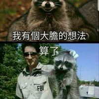 王國之歌TTW