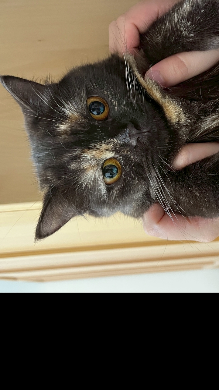 OOOOOOOO