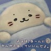 しろたんたちは家族です☺️👏