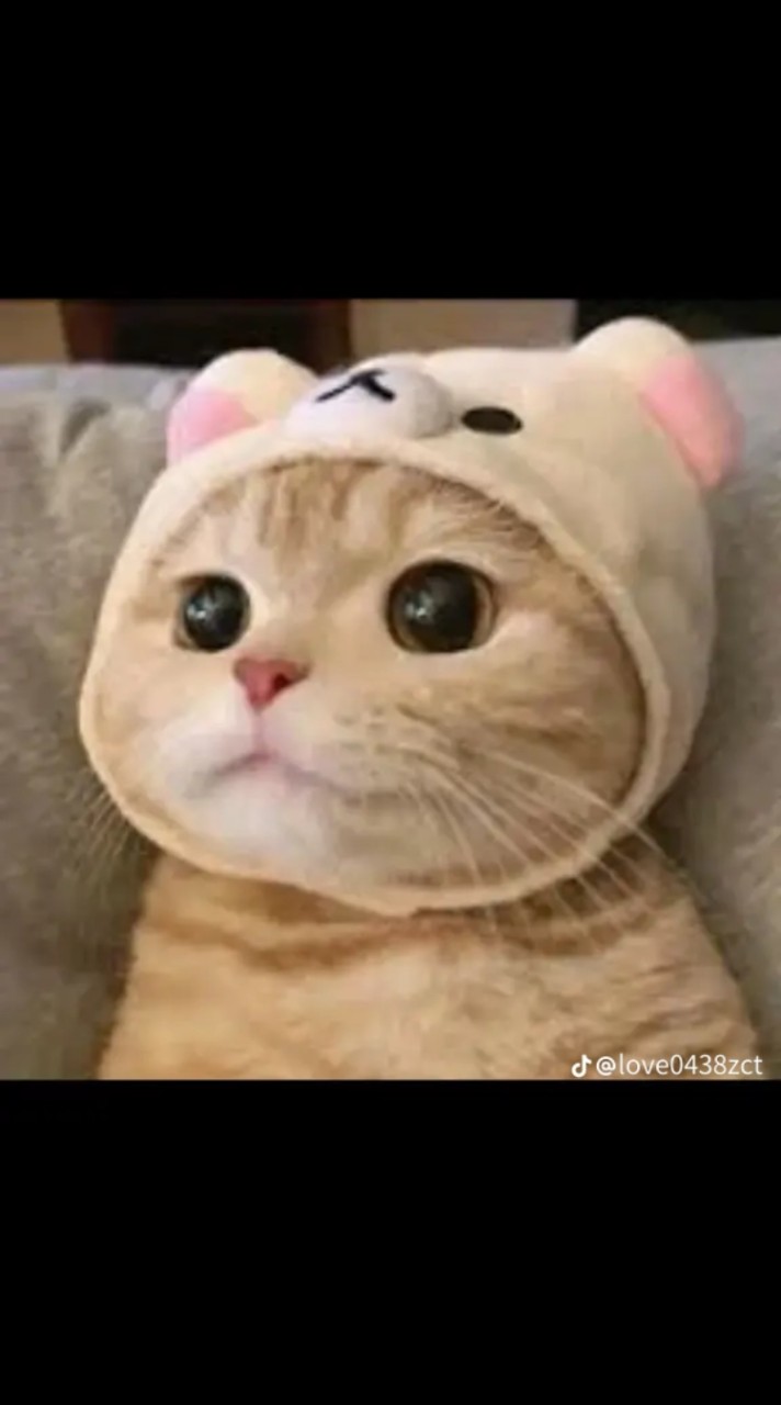 กลุ่มคนชอบ ซาริโอ้😺💫