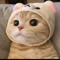 กลุ่มคนชอบ ซาริโอ้😺💫