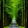 オプチャの宣伝・連投⭕️相互⭕️雑談⭕️YouTube音楽⭕️🌲🛣️🌲駅弁🍱電車旅🚉